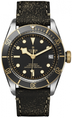 Tudor Black Bay 41mm M79733N-0007 watch